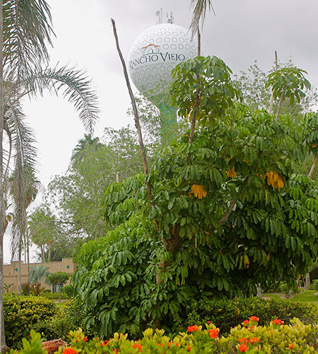 20191023 RanchoViejoCourse IMG 8466