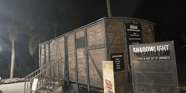 CattleCar 1300x650 web