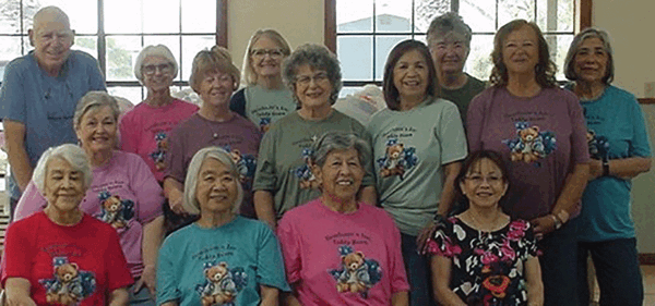 Bonham Bears Volunteers web