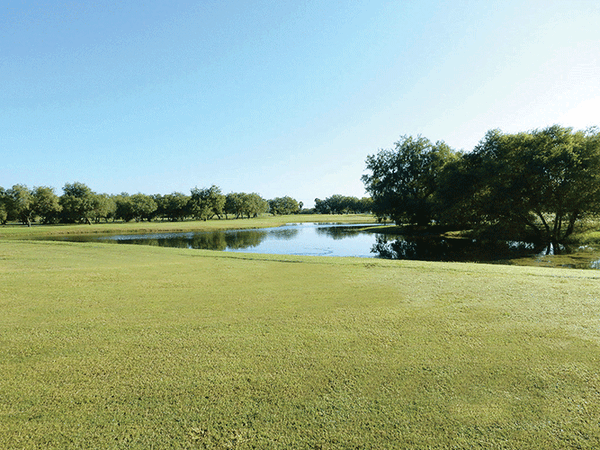 20180208 Tony Butler Golf Course 06 web