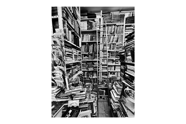 IMG 3581 web