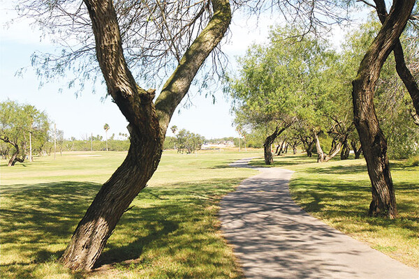 20191104 Tierra Del Sol Golf Course HMiller 9640