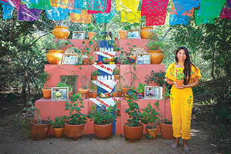 Altar dedicated to Endangered TX Species web