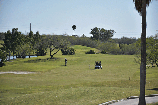 20160204 Palmview7341 web