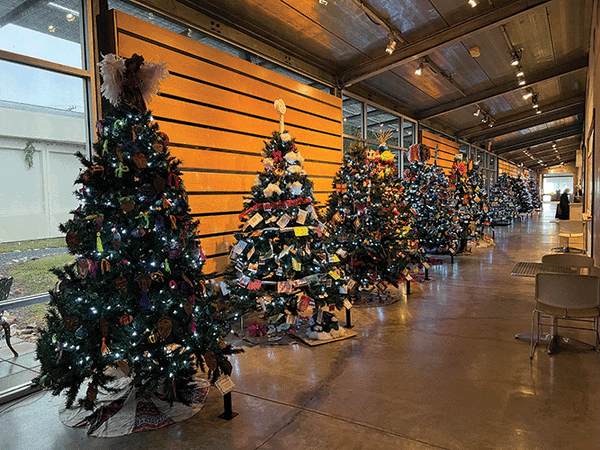 Christmas Tree Forest web