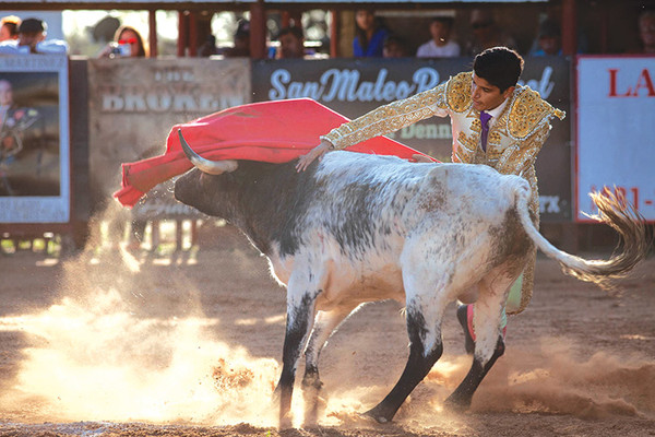 20200212 bloodless bullfight01053