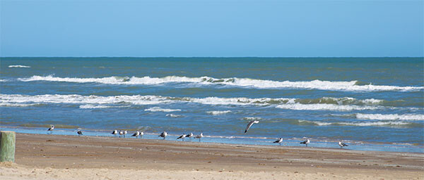spi 5659 600px