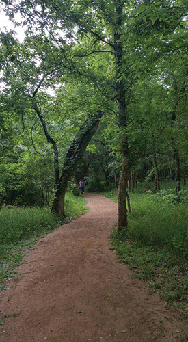 20170415 Palmetto State Park 16 web