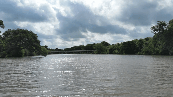 20170415 Palmetto State Park 12 web