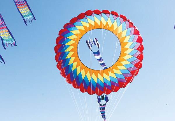 20220216 SPI Kite Fest ALB 0060