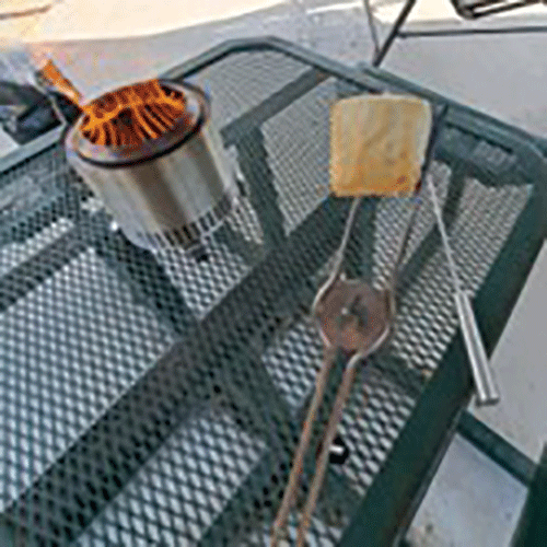 20250219 Bentsen Park Roasting Marshmallows web