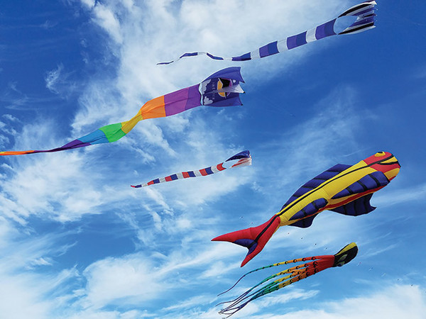 20200129 KITESHOW ShowKite2