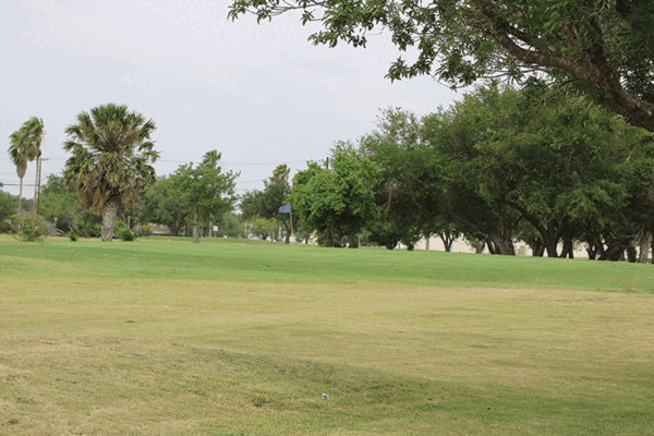 Ebony Hills IMG 8235 web