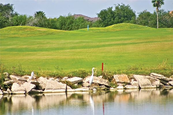 20220309 Los Lagos Golf Course HMiller 1265