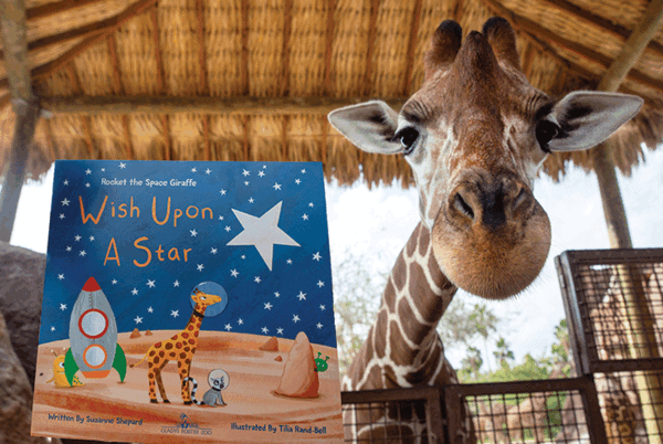 Gladys Porter Zoo Giraffe BB2A4539edit web