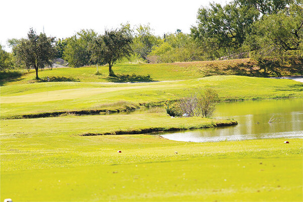 20191104 Palm View Golf Course HMiller 9618