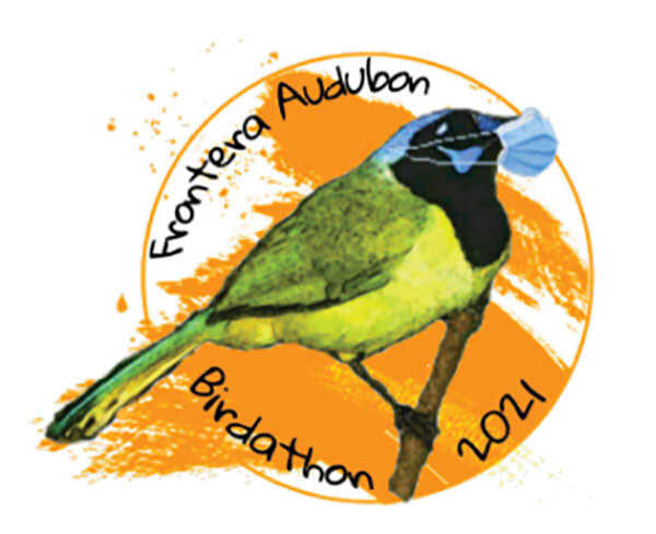 frontera audubon calling valley birders