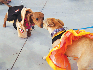 20211103 seven oaks 06 web