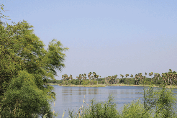 IMG 8027 web