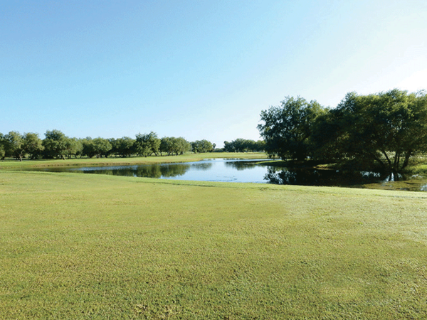 20221214 Tony Butler Golf Course 06 web