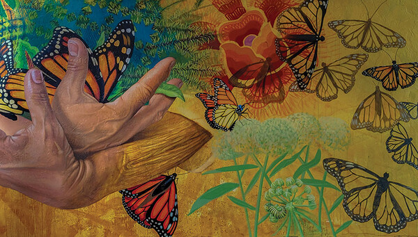 20220817 Protection of Monarchs WEB