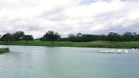 20181207 Treasure Hills Golf Course HMiller web