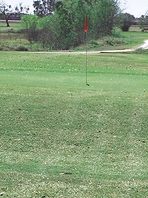 golf raymondville municipal img 1038