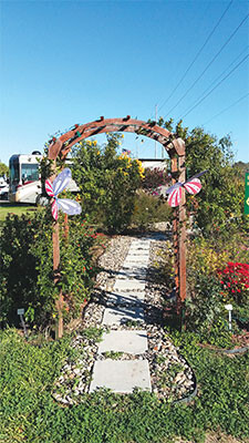 20210210 butterfly garden 02