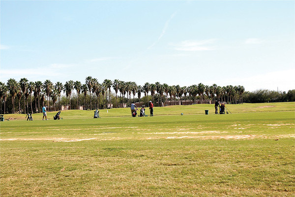 20200122 PalmView IMG 9636