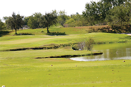 Upper 1st Place Palm View Golf IMG 9618