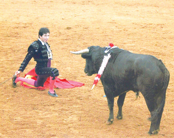 Santa Maria P Campero WEB