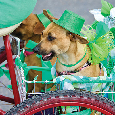 20200325 PATRICKS la hacienda DSC 8616