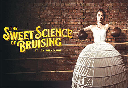HCISD sweet science bruising wiltons web