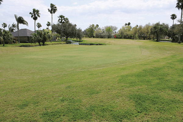 20220319 Stuart Place Golf Course ALB 0058 web