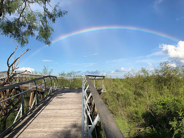 20221109 Bentsen State Park Hawk Tower Rainbow web