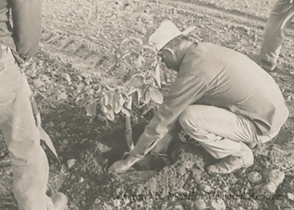 MOSTH Farming 2015.041 web