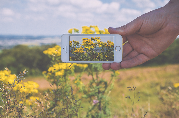 Smartphone flowers