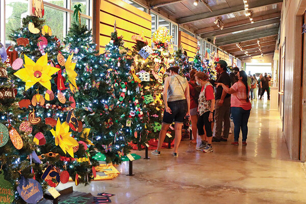 20221123 IMAS Winter Christmas Tree Forest web