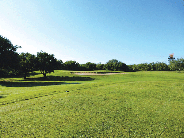 20180208 Tony Butler Golf Course 08 web