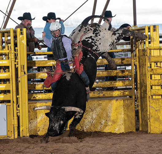 20200115 npbr falcon mcconnel