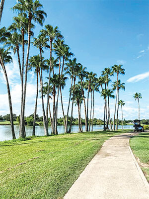 the club at cimarron web