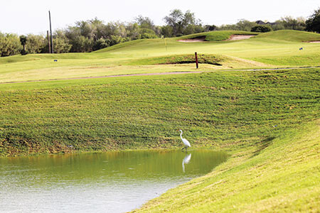 golf tierra santa 8616