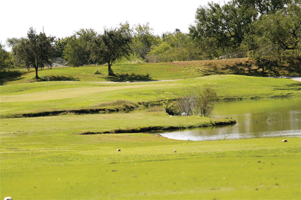 20191104 Palm View Golf Course HMiller 9618 web