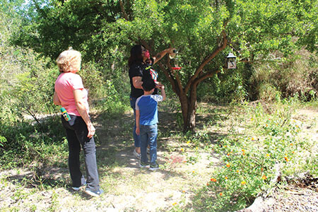 f staff helper filling bird feeders