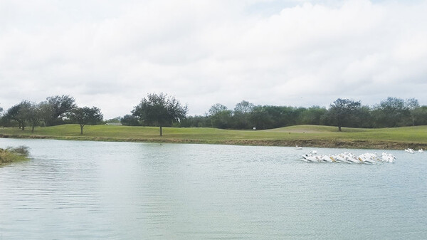 20220302 GOLF Treasure Hills Golf Course HMiller