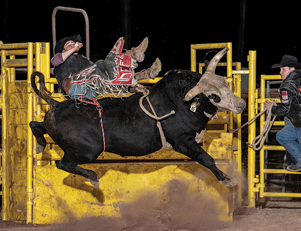 20200115 npbr donald francis