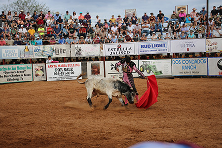 20200311 lead bull