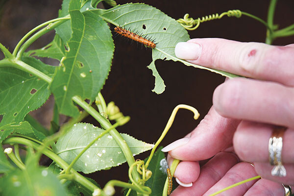 gardener training