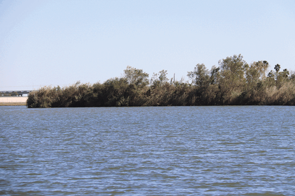 20181215 Riverside Dreamer Tour JMB 0076 web