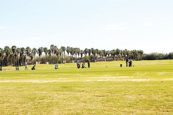 20220316 ACTIVE Palm View Golf Course HMiller 9636